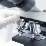 Схема игрового механизма Gates of Olympus с математическими показателями