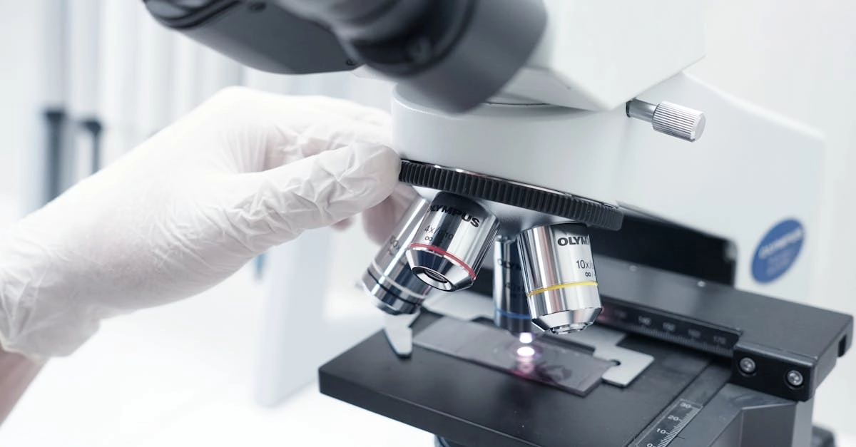 Схема игрового механизма Gates of Olympus с математическими показателями