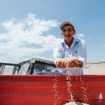 Экспертный анализ игровой механики слота Sky Bounty