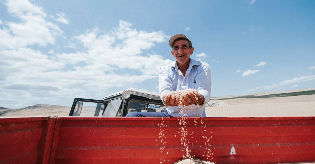 Экспертный анализ игровой механики слота Sky Bounty