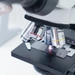 Профессиональный анализ игрового продукта Gates of Olympus 1000