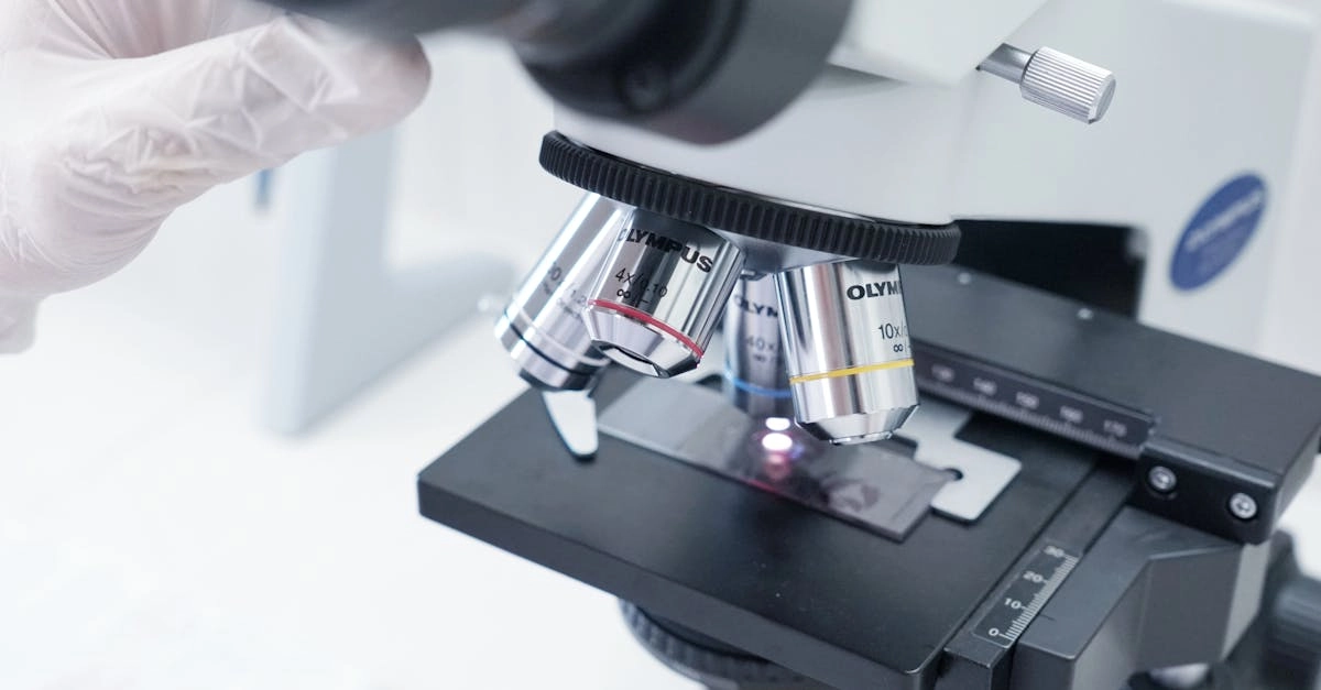 Профессиональный анализ игрового продукта Gates of Olympus 1000